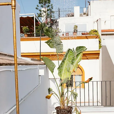 Lujoso Con Piscina Compartida 3 Siviglia